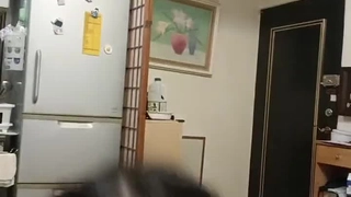 请色五月