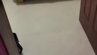 一群日本比基尼美女正在进行摔跤比赛!